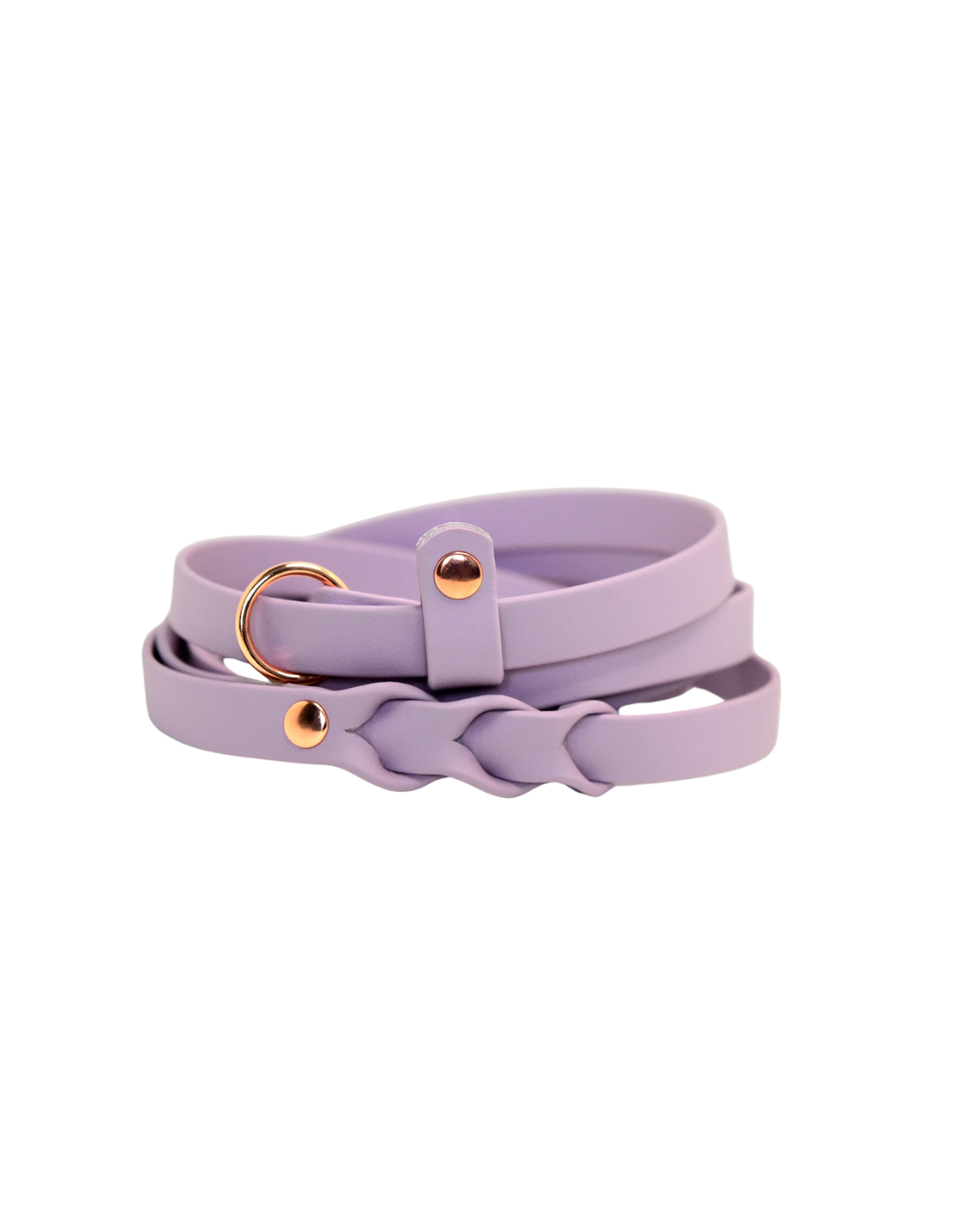 HUNTER Slip leash for dogs