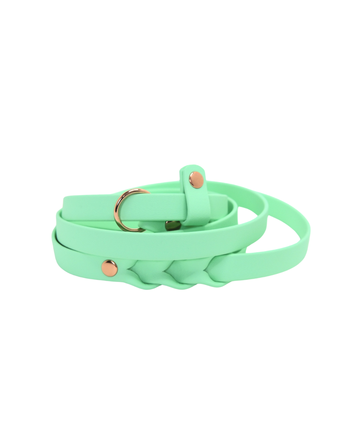 HUNTER Slip leash for dogs