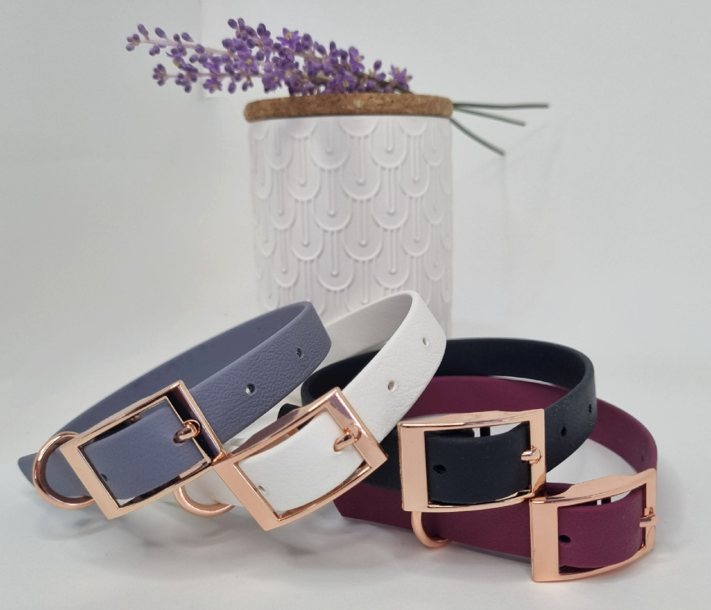 ROYAL Classic adjustable dog collar