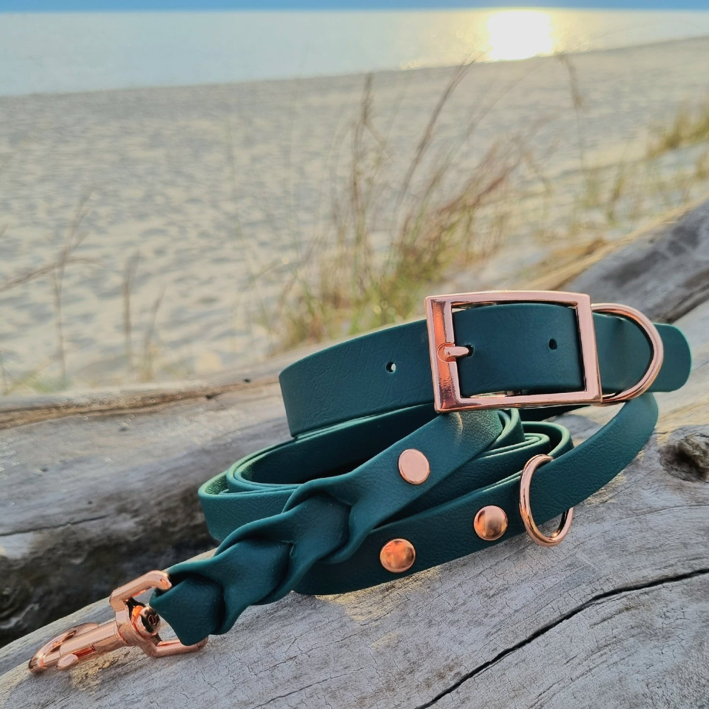 ROYAL Classic adjustable dog collar