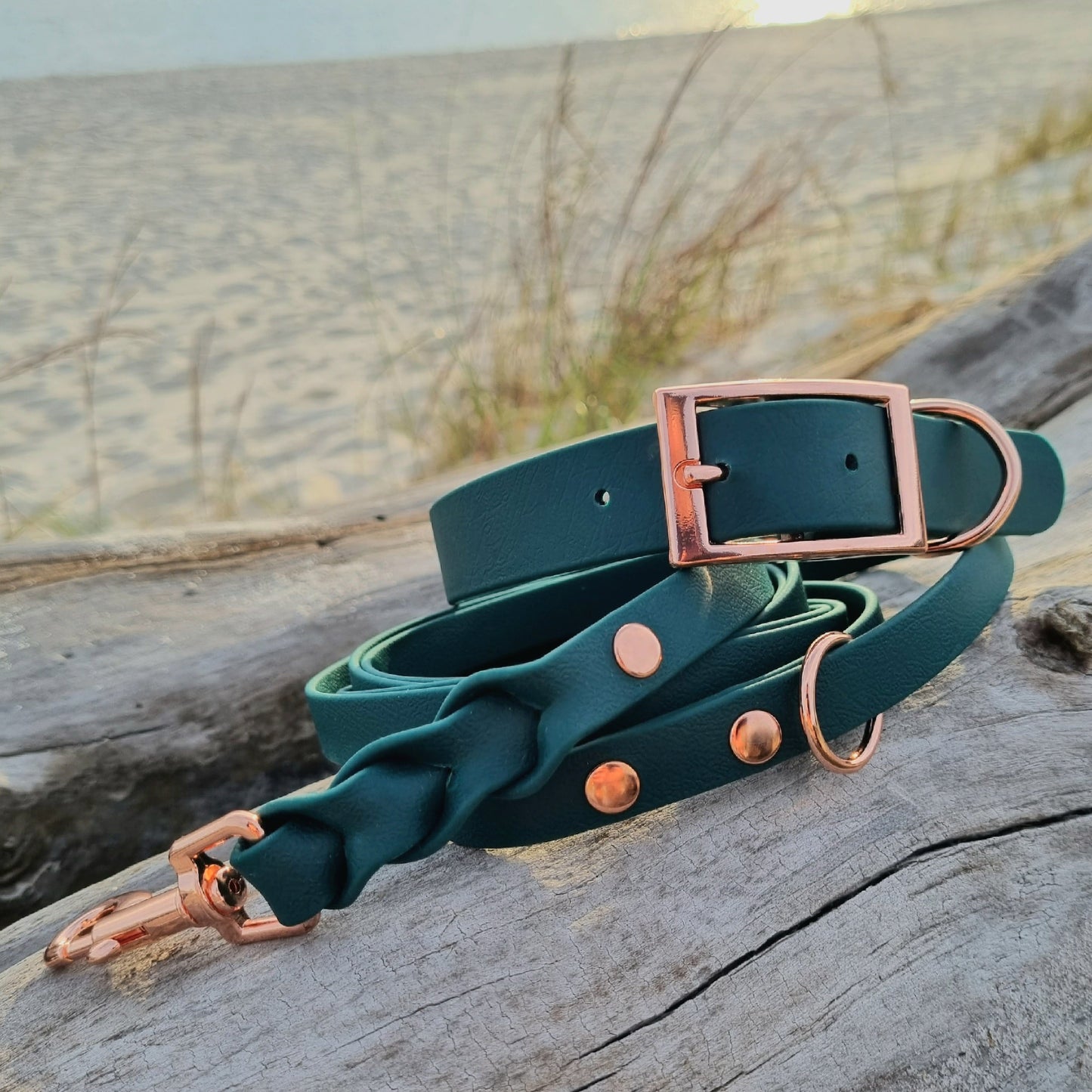 ROSIE Beautiful Braided dog leash
