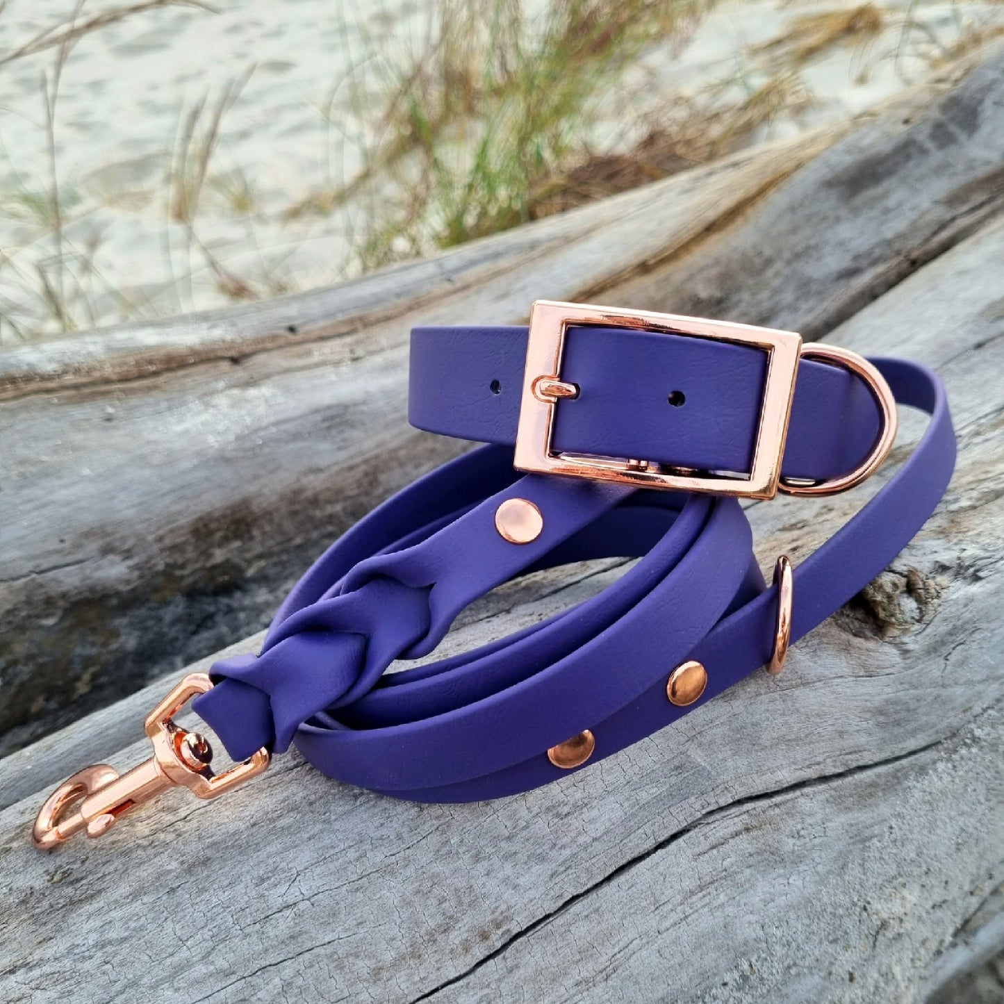 ROYAL Classic adjustable dog collar