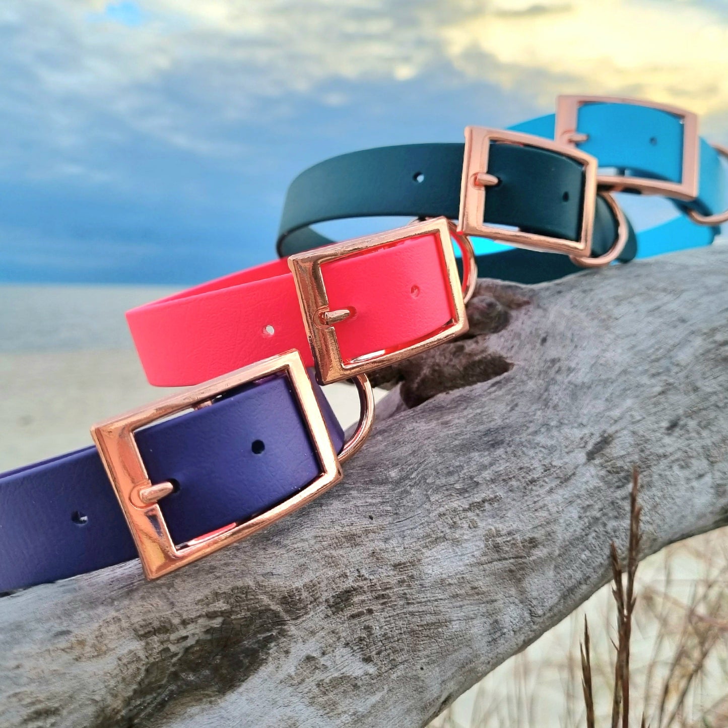 ROYAL Classic adjustable dog collar