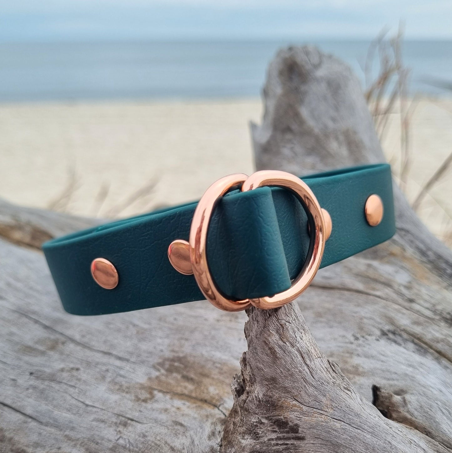 ELITE Wide Custom-made collar