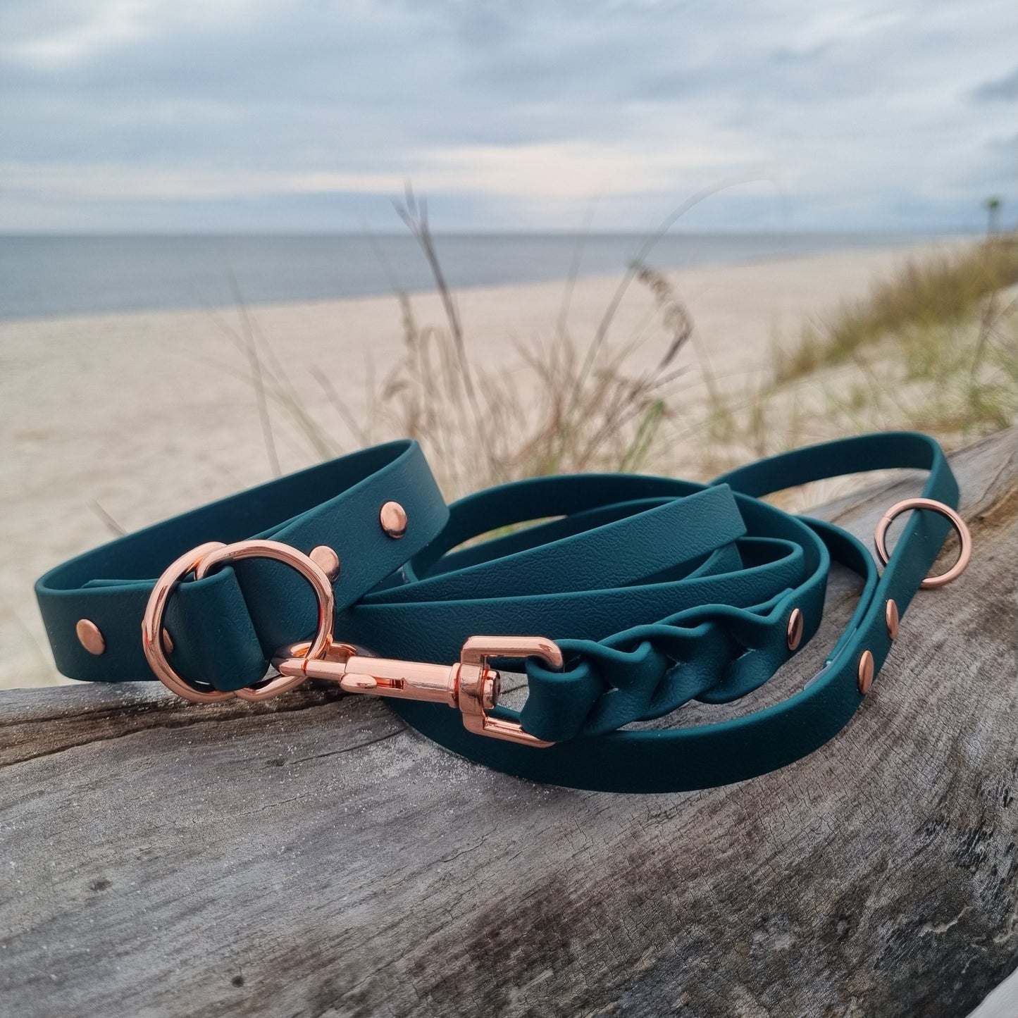 ELITE Tiny Custom-made collar