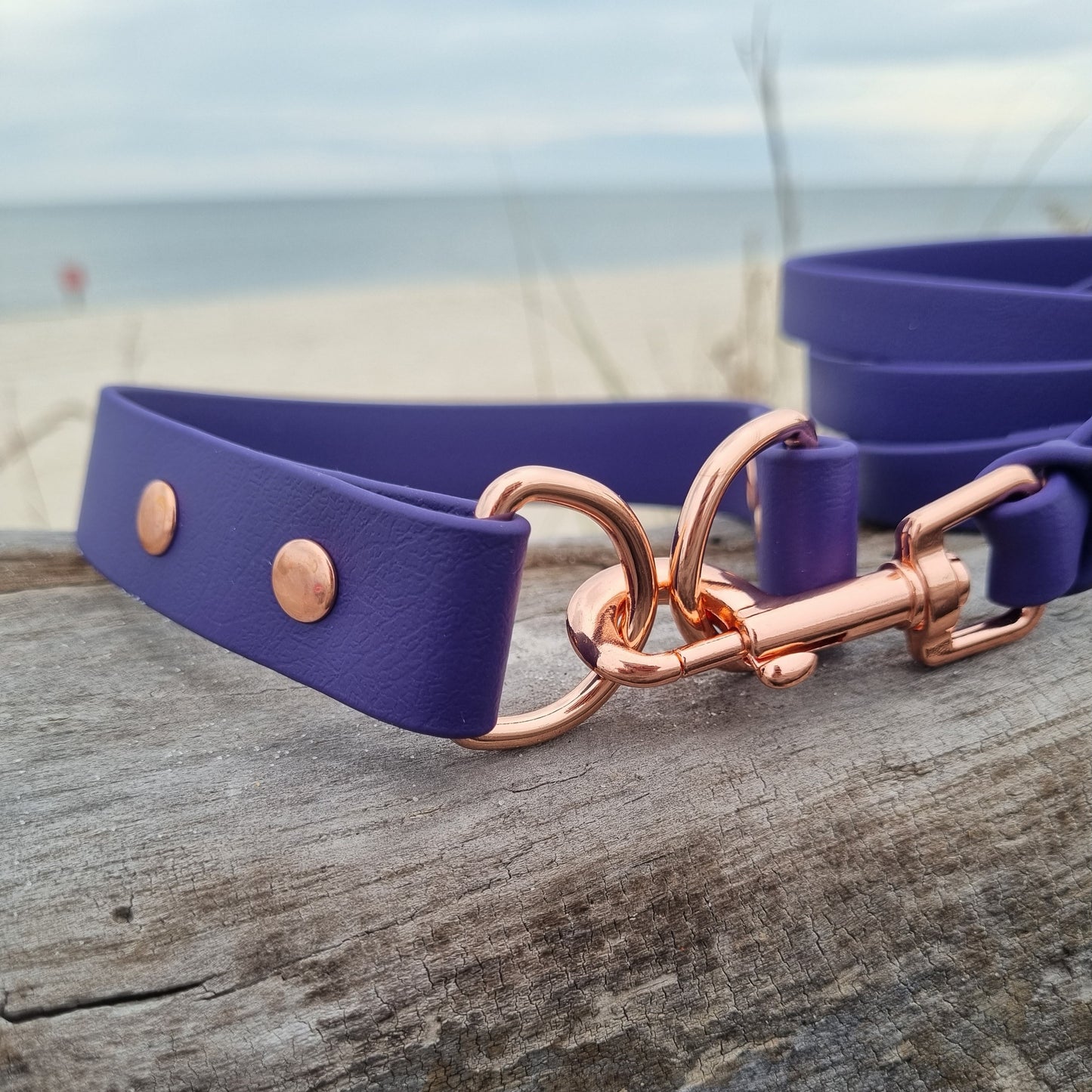 ELITE Wide Custom-made collar