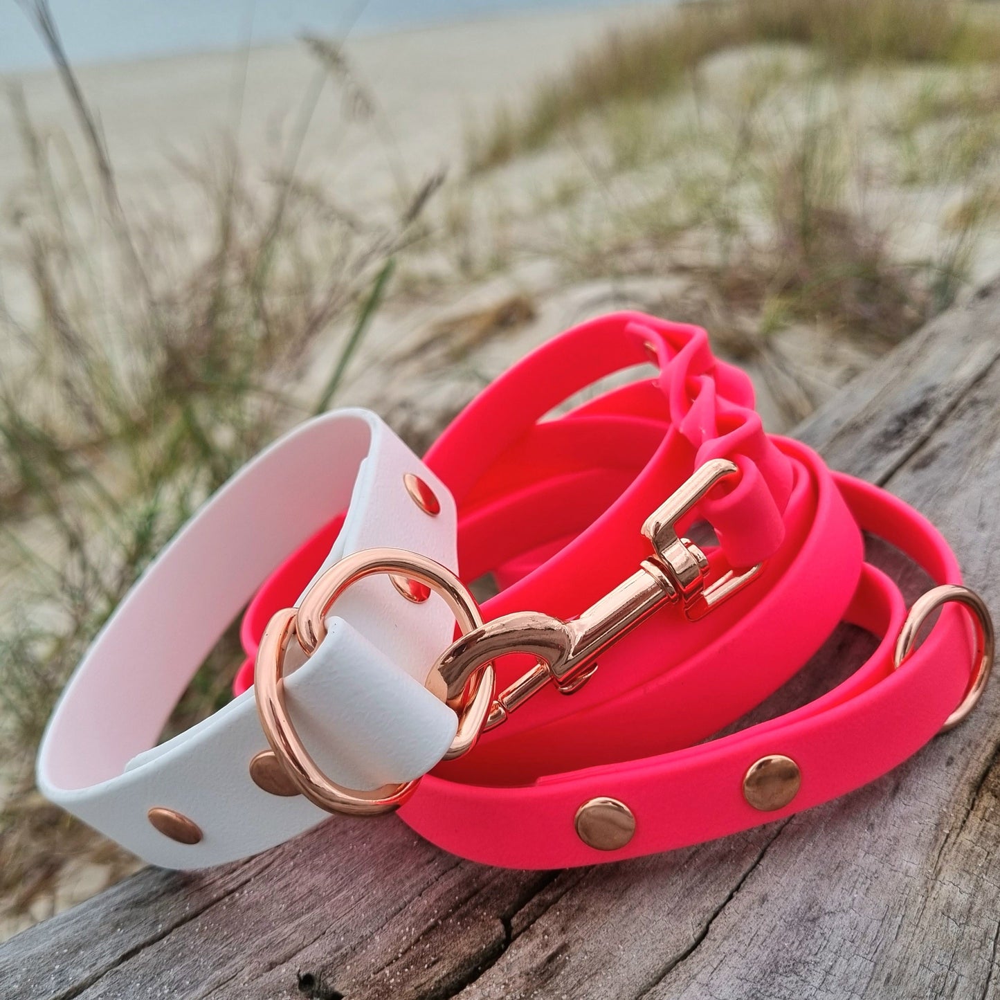 ELITE Wide Custom-made collar
