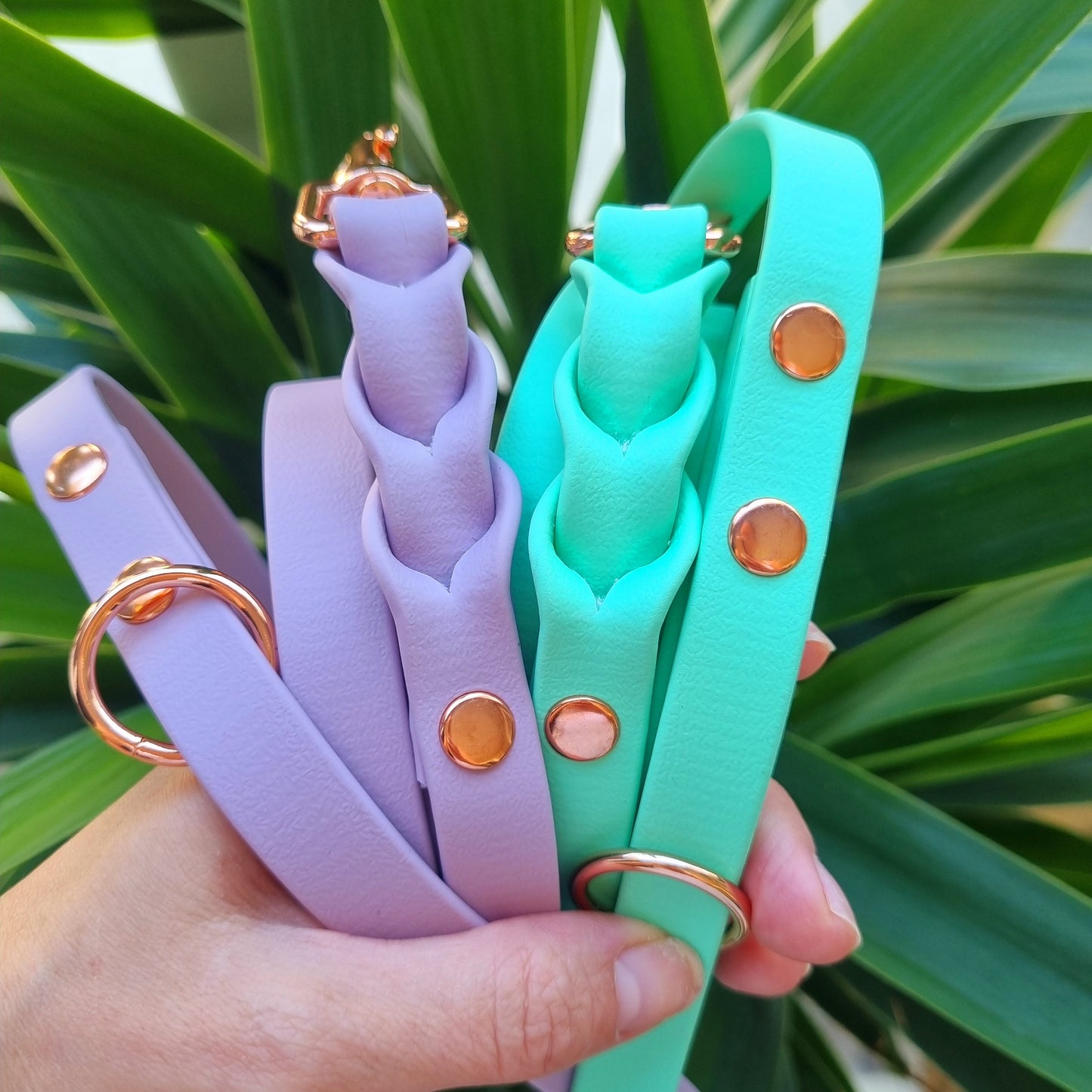 ROSIE Beautiful Braided dog leash