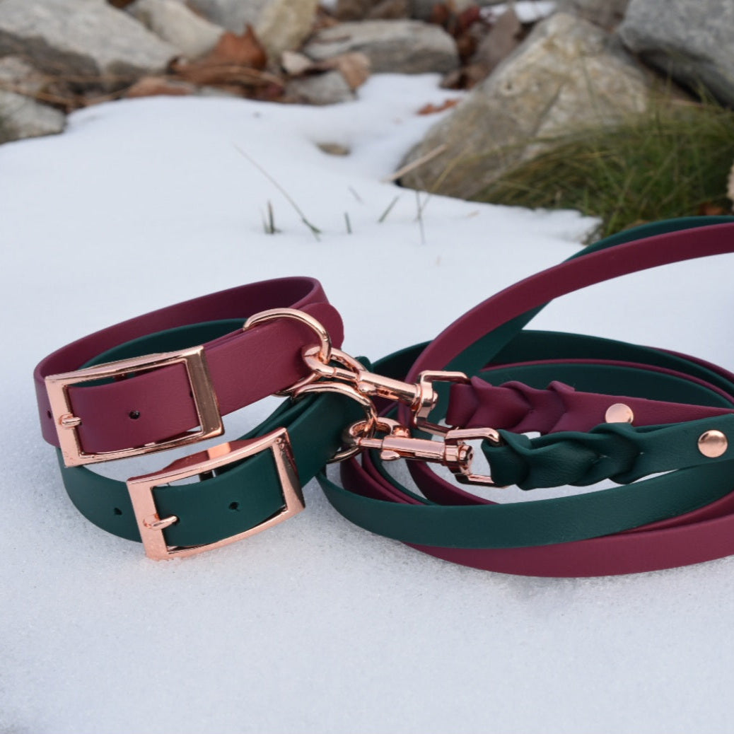 ROYAL Classic adjustable dog collar