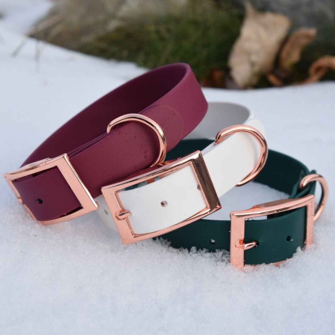 ROYAL Classic adjustable dog collar