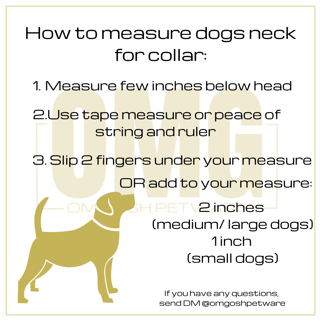 ORION Quick release collar