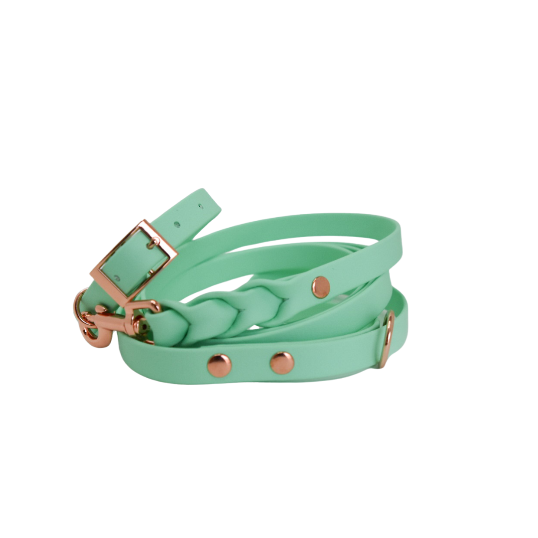 ROYAL Classic adjustable dog collar