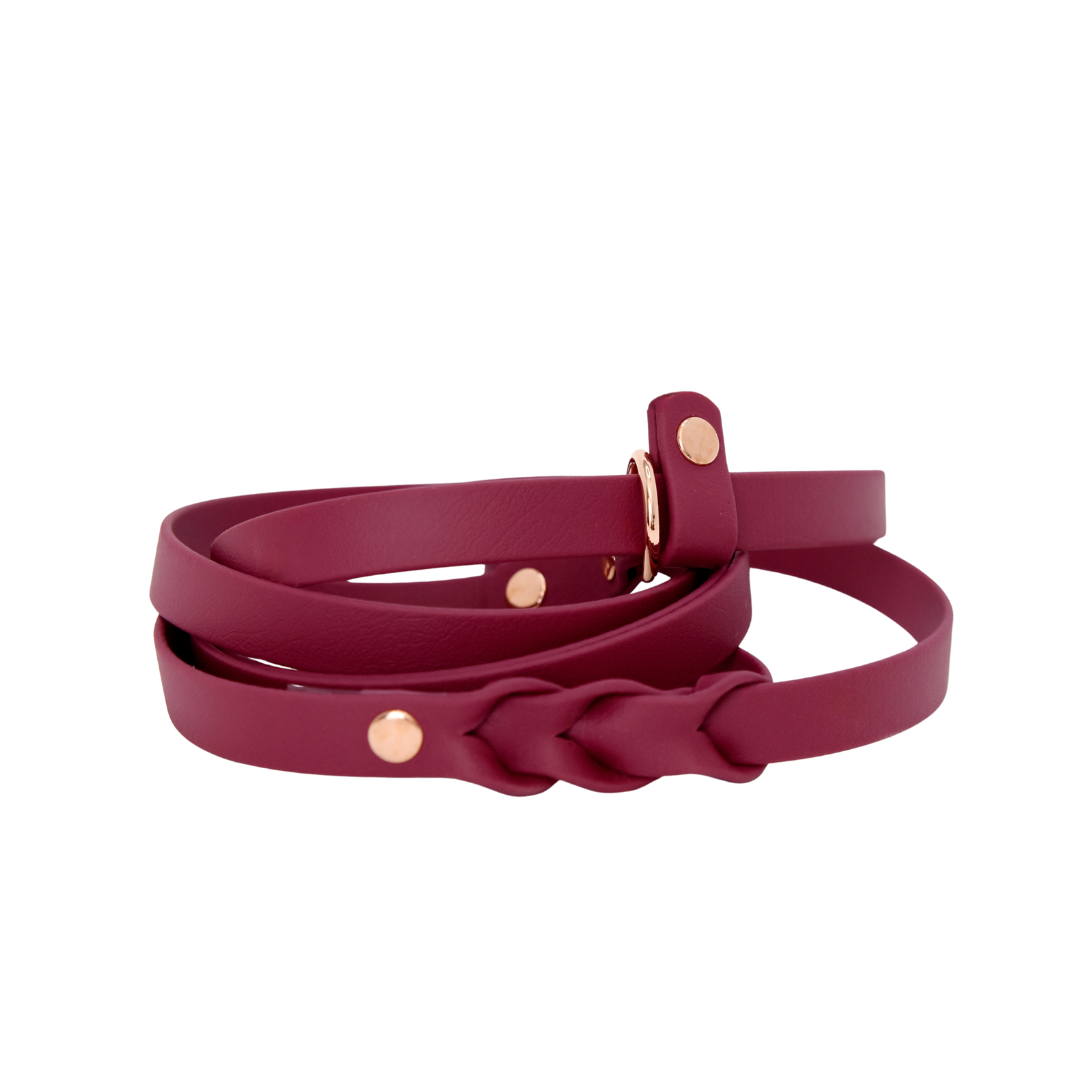 HUNTER Slip leash for dogs