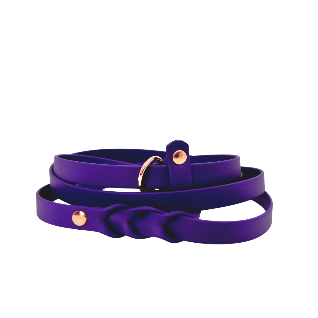 HUNTER Slip leash for dogs