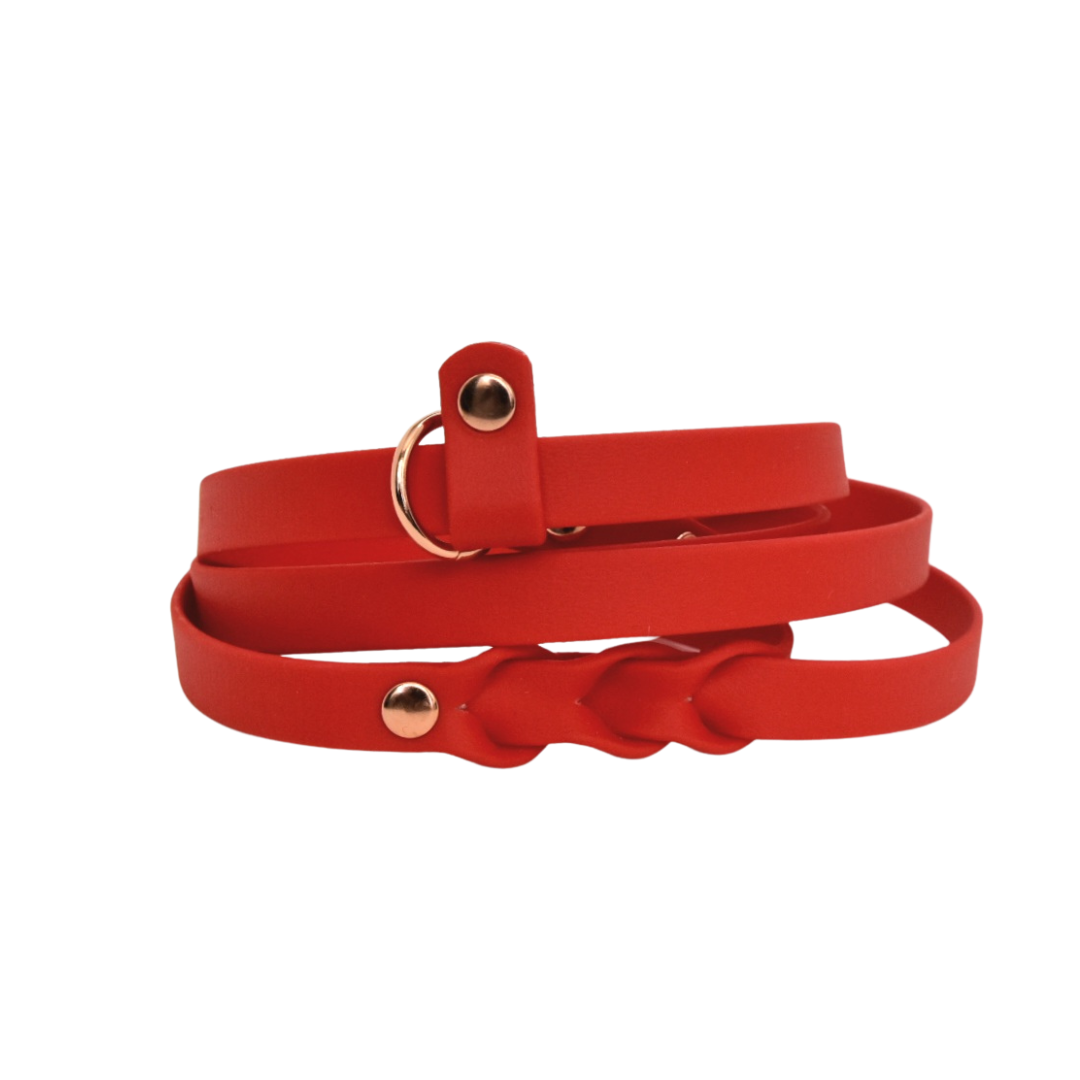 HUNTER Slip leash for dogs