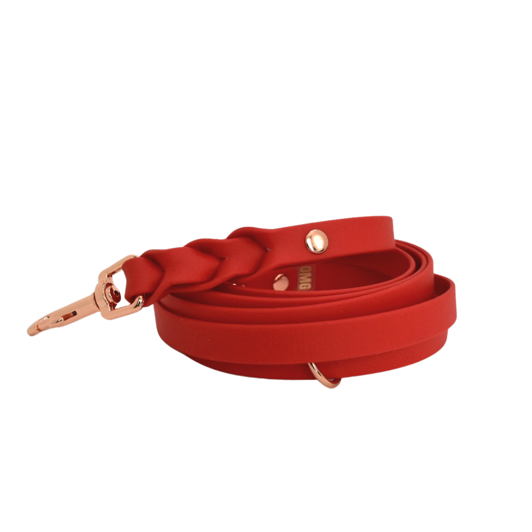 ROSIE Beautiful Braided dog leash