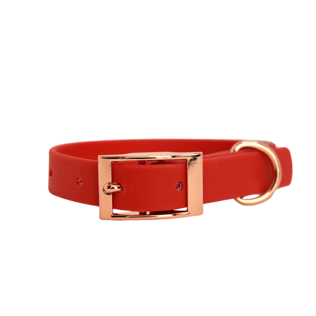 ROYAL Classic adjustable dog collar