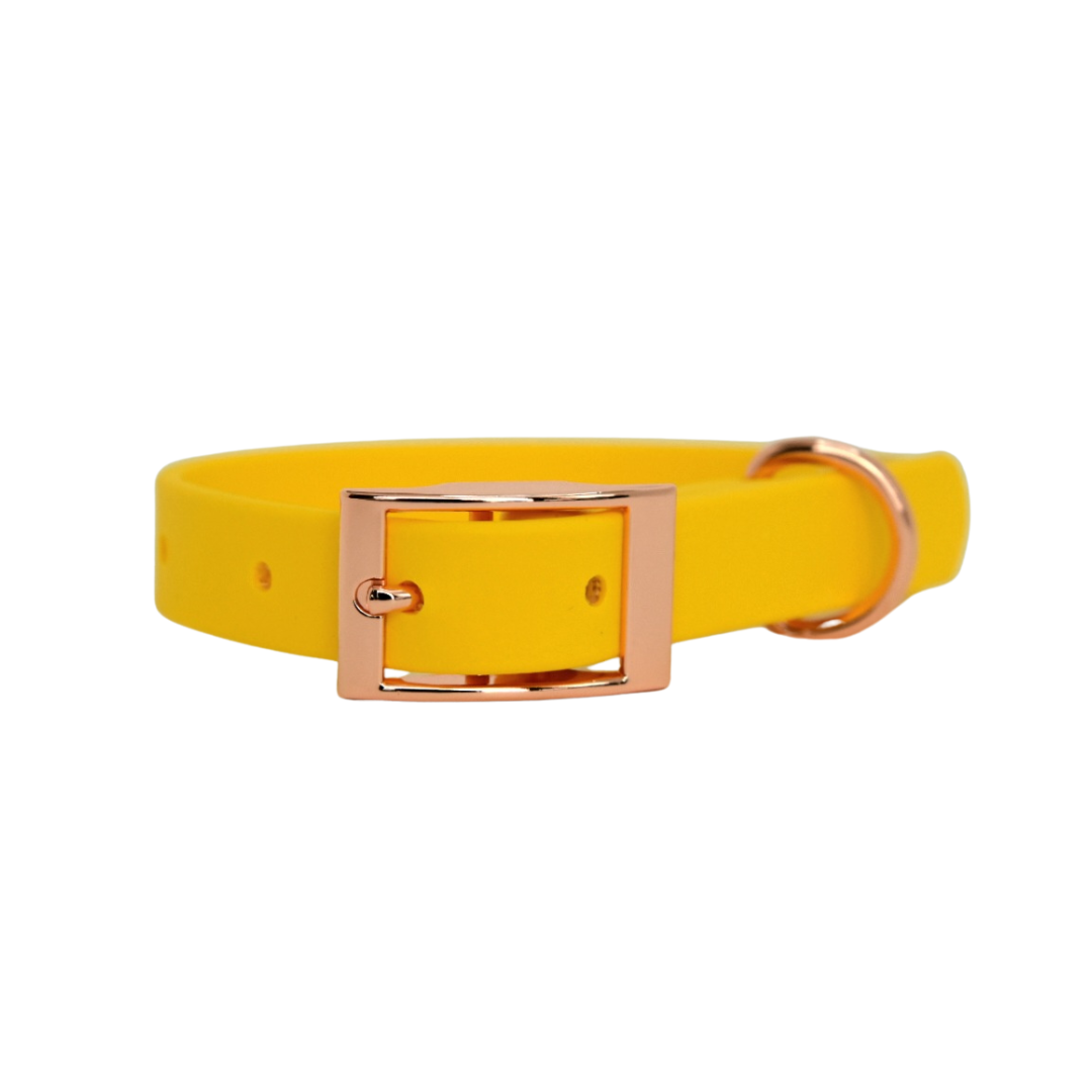 ROYAL Classic adjustable dog collar