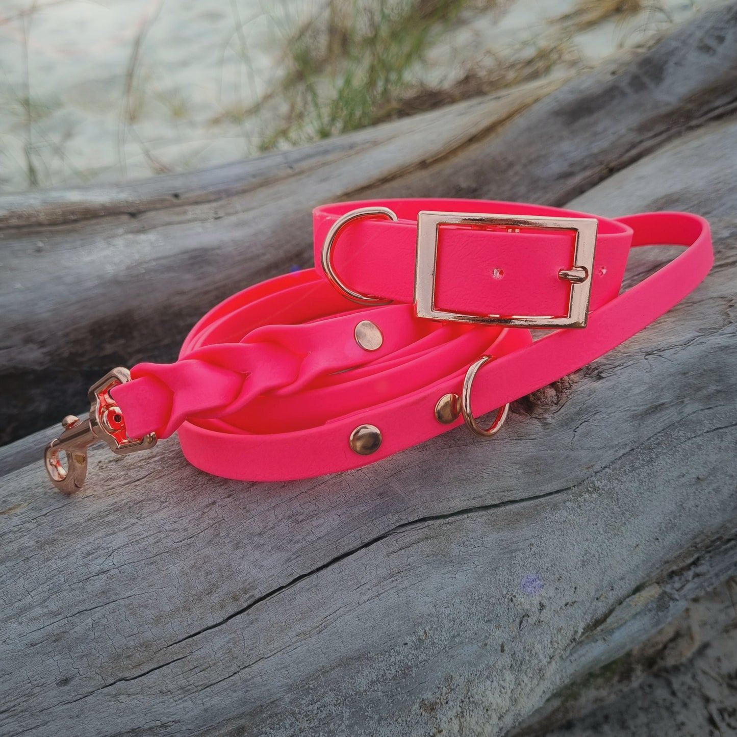 ROSIE Beautiful Braided dog leash