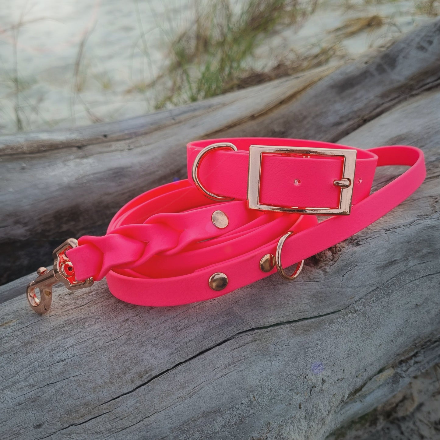 ROYAL Classic adjustable dog collar