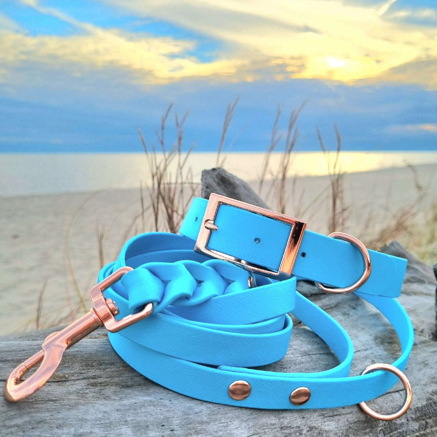 ROYAL Classic adjustable dog collar