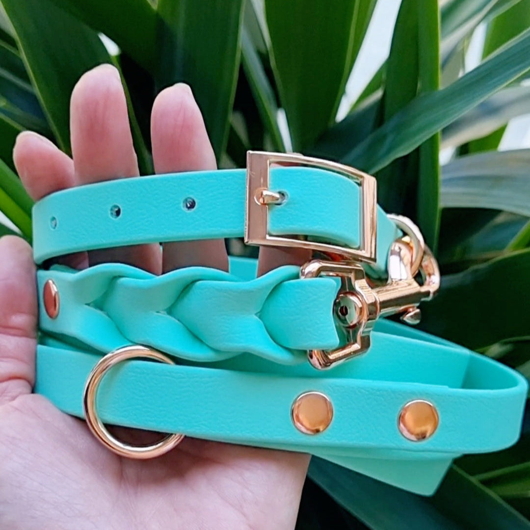 ROYAL Classic adjustable dog collar