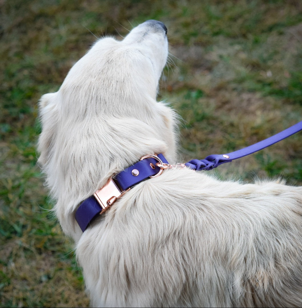 ORION Quick release collar