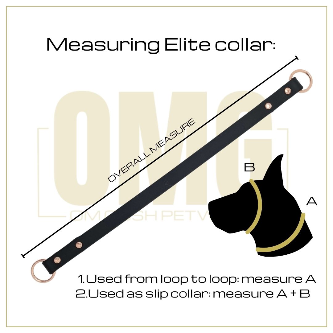 ELITE Wide Custom-made collar