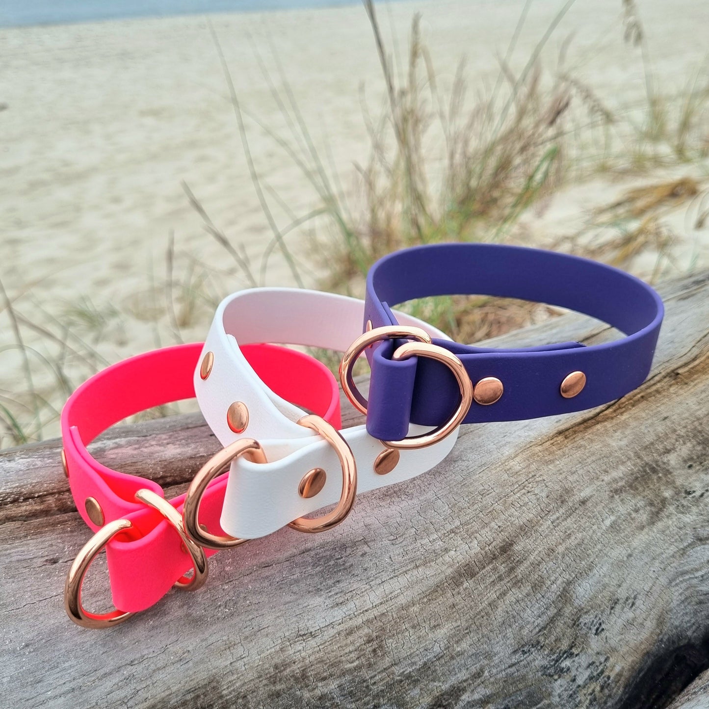 ELITE Wide Custom-made collar