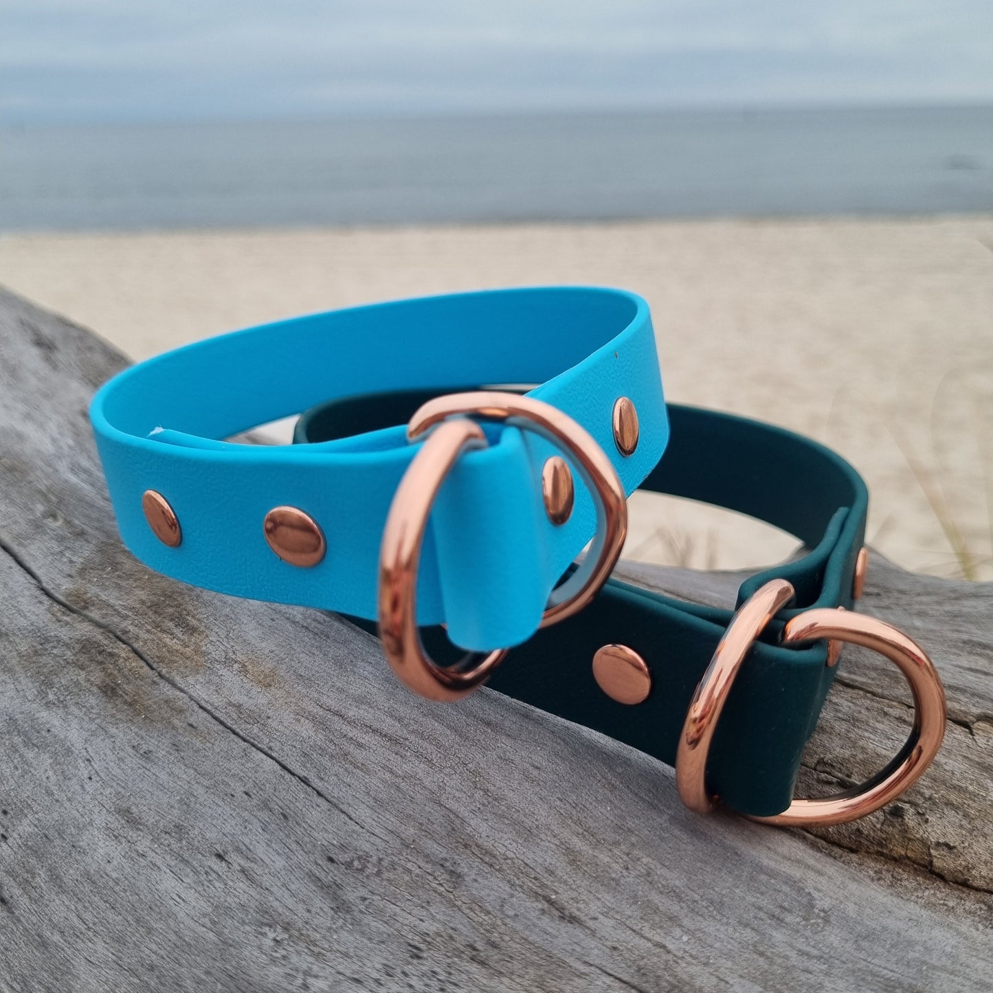 ELITE Wide Custom-made collar