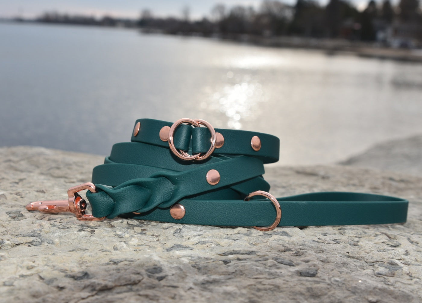 ELITE Tiny Custom-made collar