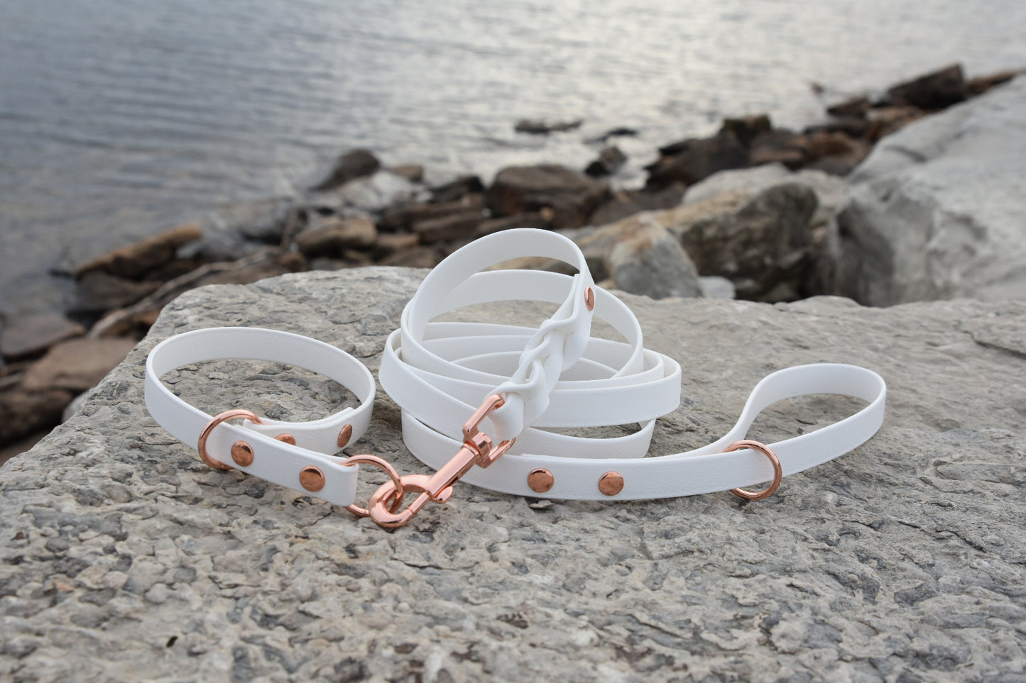 ELITE Tiny Custom-made collar
