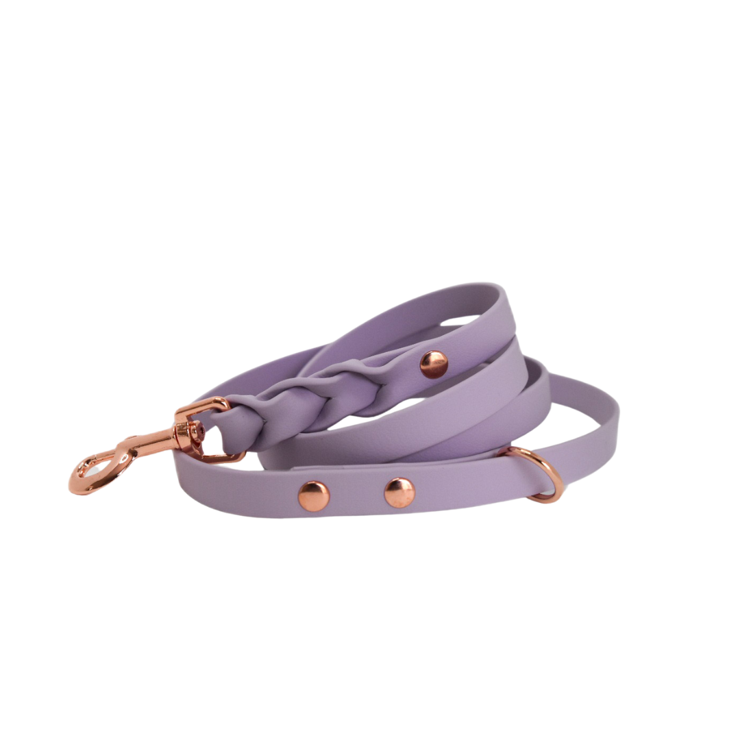 ROSIE Beautiful Braided dog leash