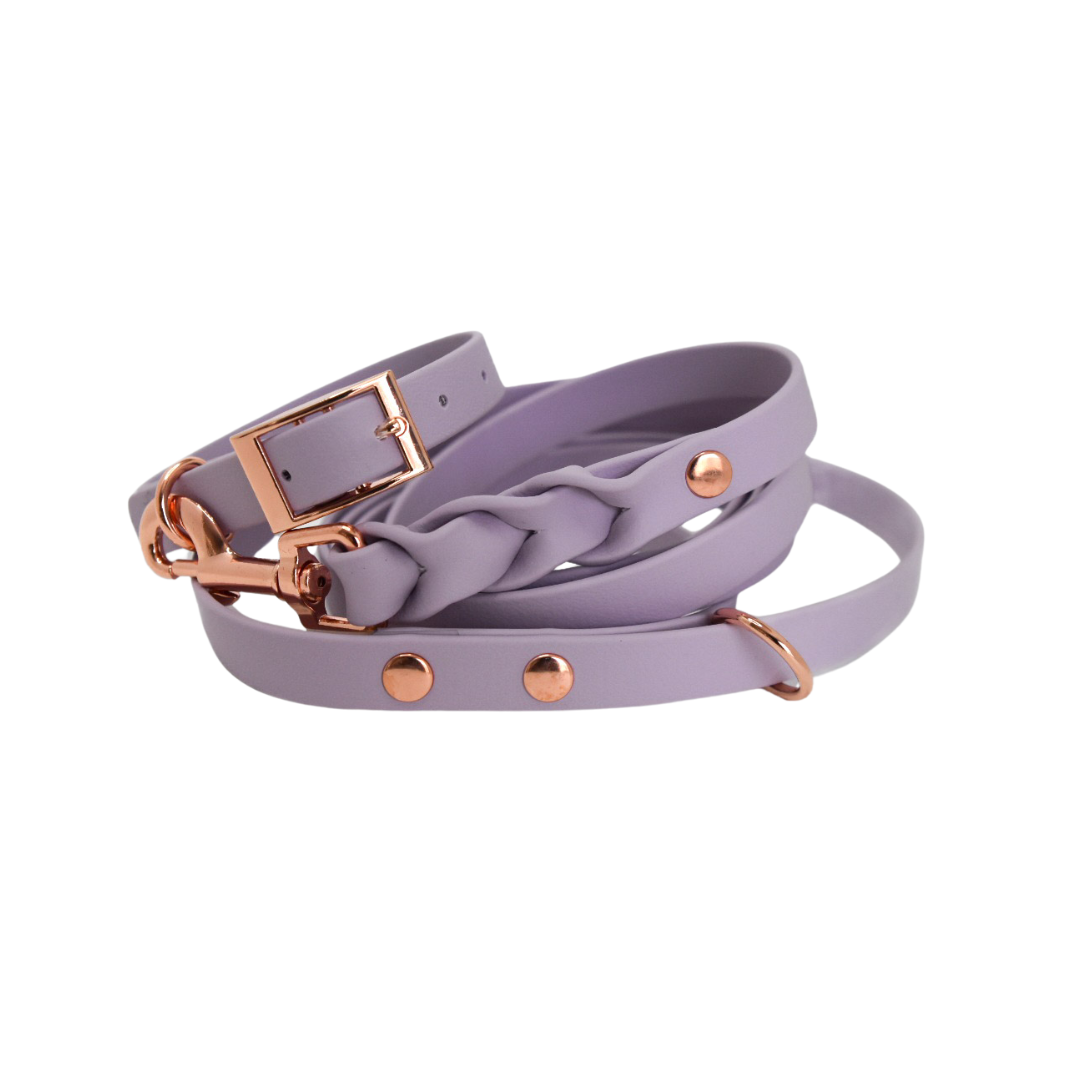 ROSIE Beautiful Braided dog leash