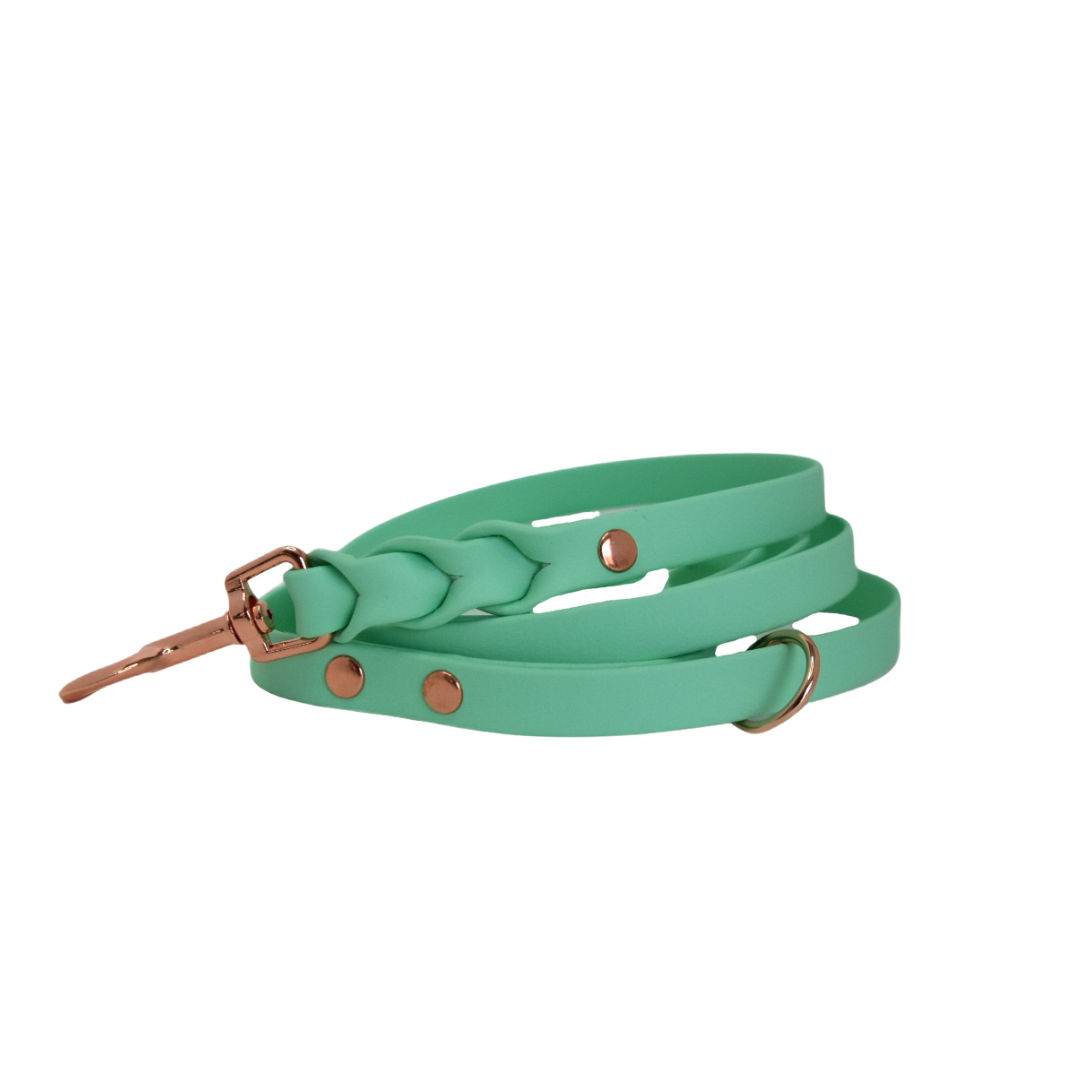 ROSIE Beautiful Braided dog leash