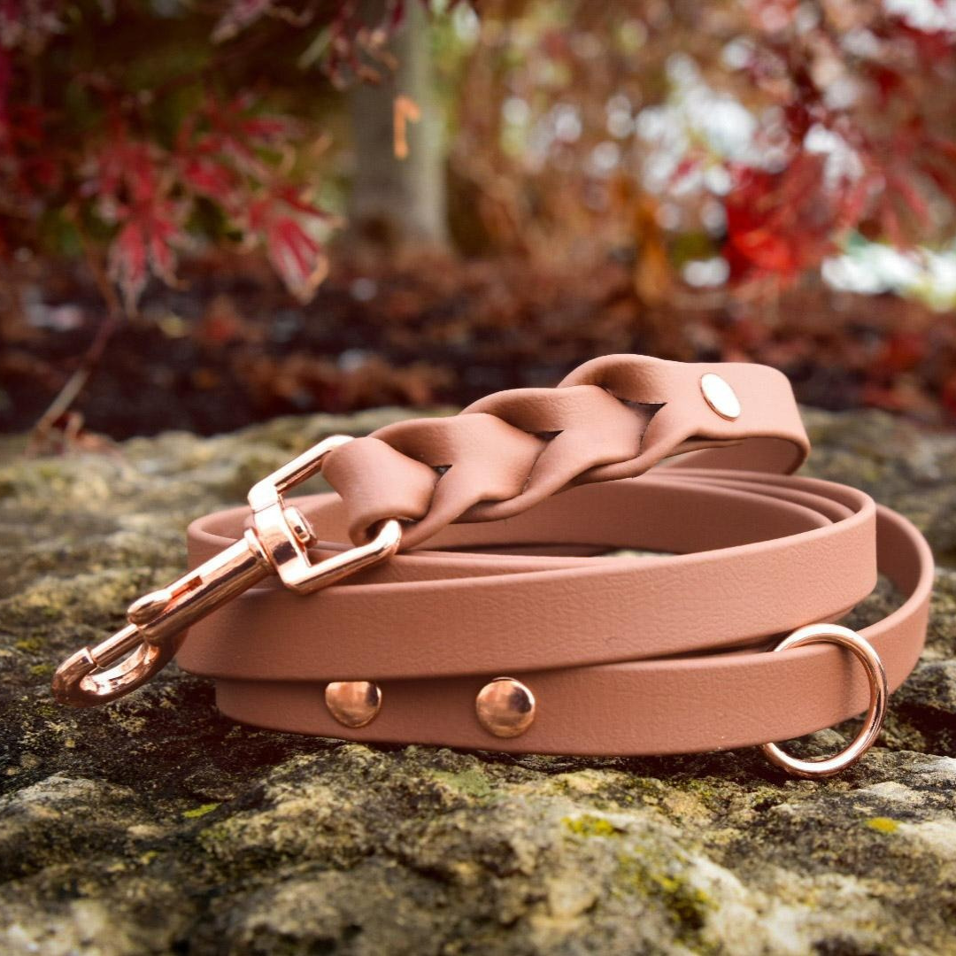 ROSIE Beautiful Braided dog leash