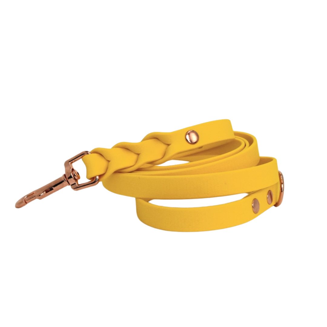 ROSIE Beautiful Braided dog leash