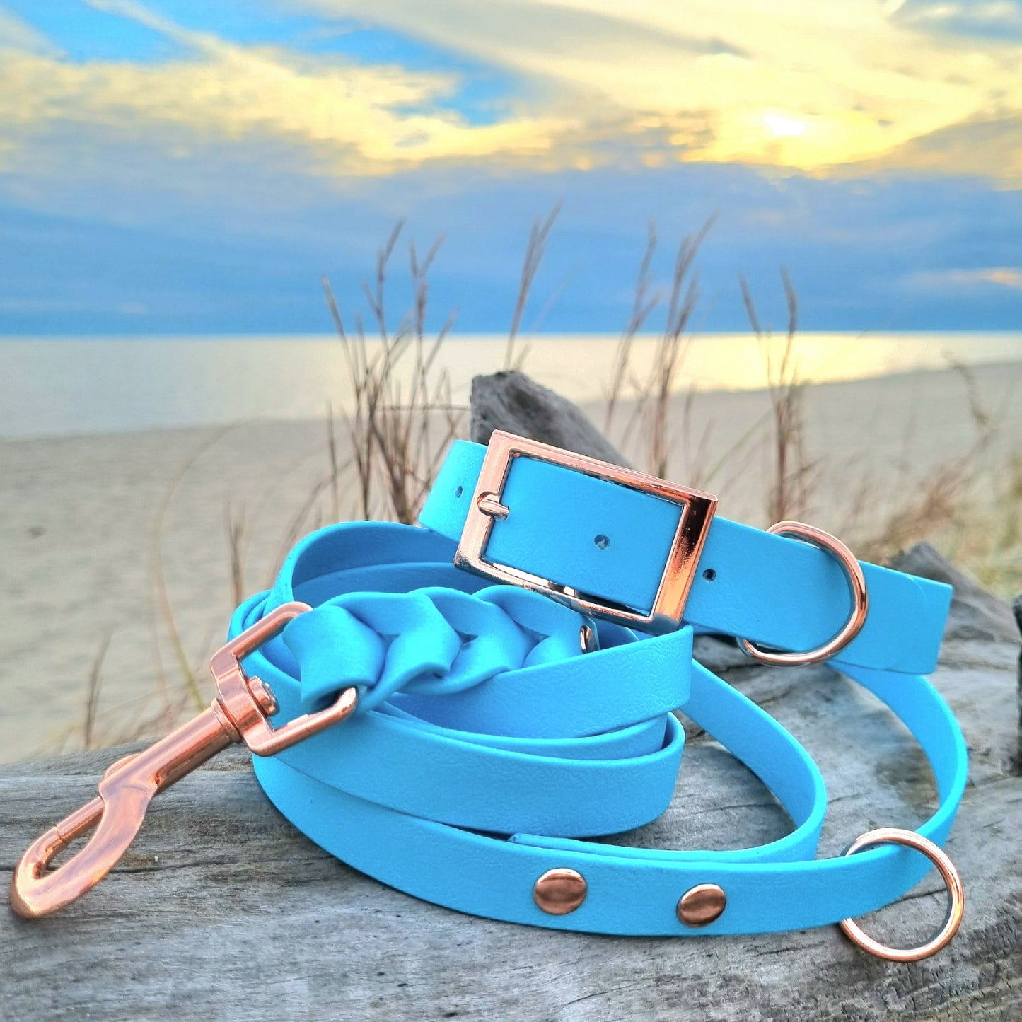 ROSIE Beautiful Braided dog leash