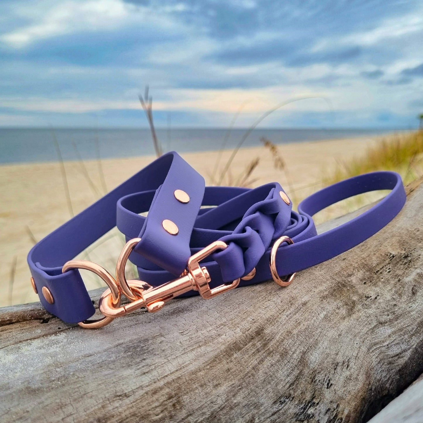 ELITE Wide Custom-made collar