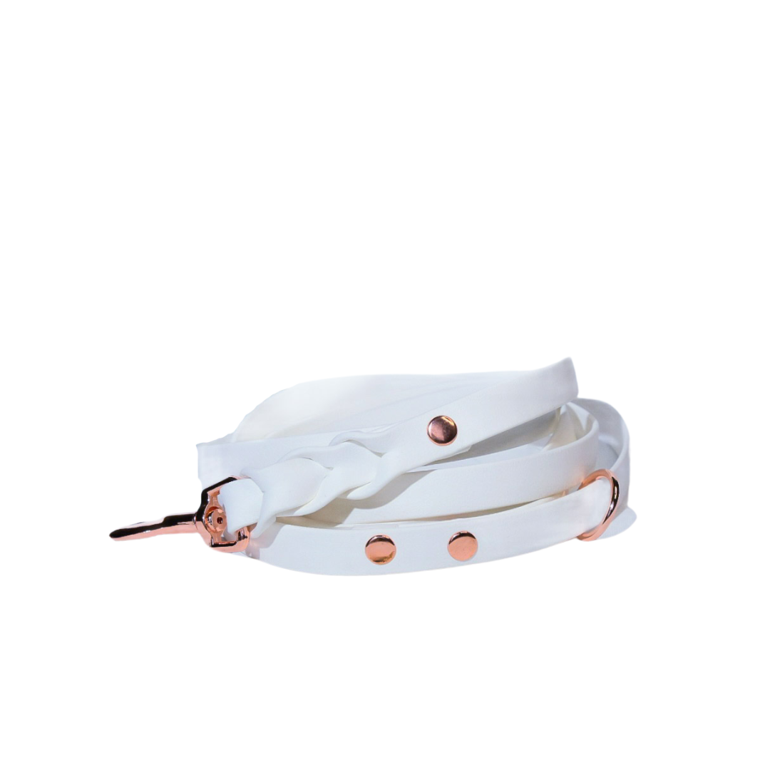 ROSIE Beautiful Braided dog leash