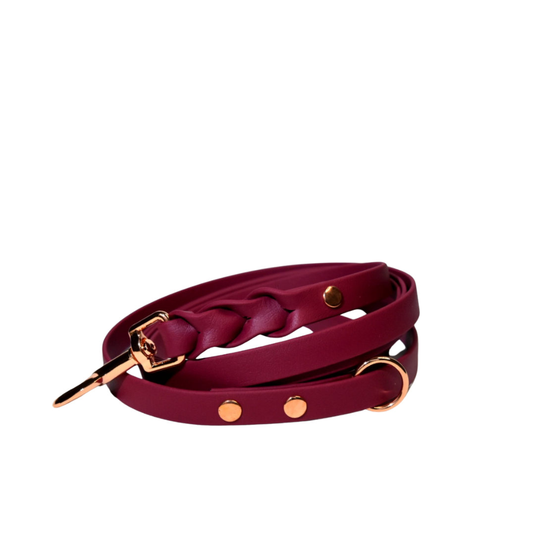 ROSIE Beautiful Braided dog leash